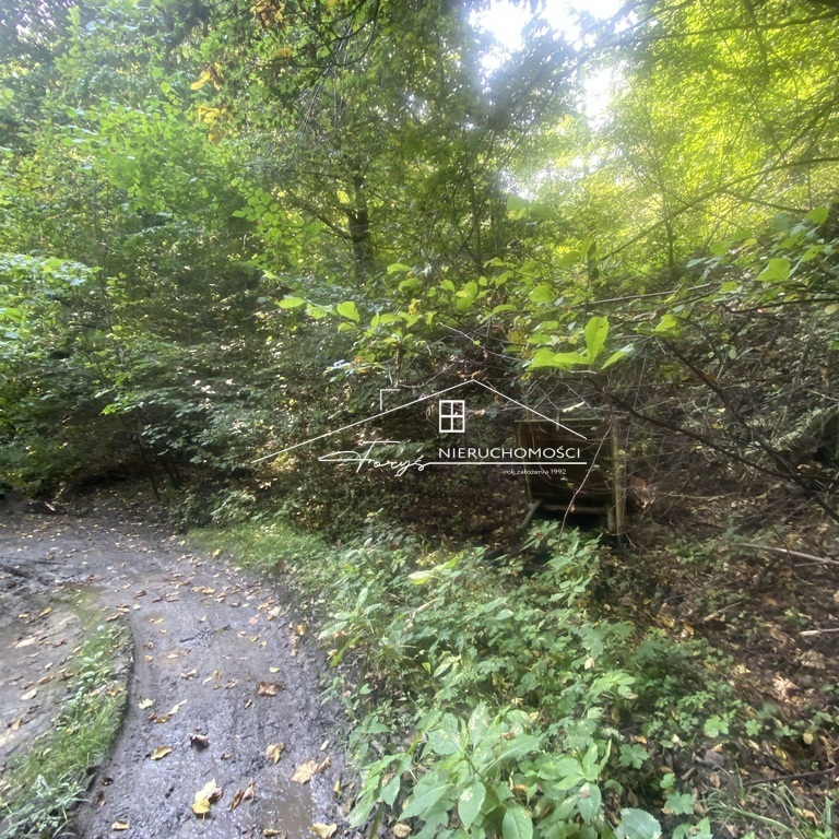 Dom wolnostojący z lat 60., który zyskasz w atrakcyjnej lokalizacji.