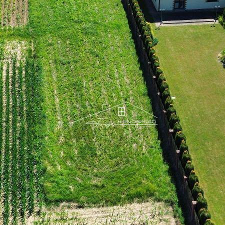 Cicha, zielona okolica domów jednorodzinnych, idealna dla rodzin.