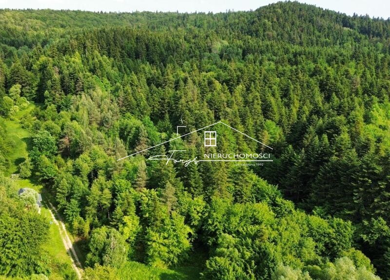 Połączenie bliskości natury i wygodnej infrastruktury na co dzień.