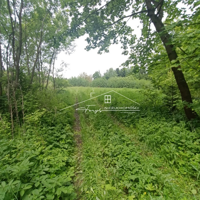 Sprzedaż działki prowadzona jest przez Renatę Bednarczyk.