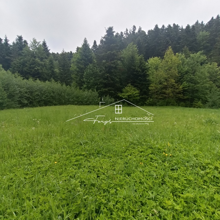 Otoczenie lasów i zieleni zapewnia ciszę i codzienny kontakt z naturą.