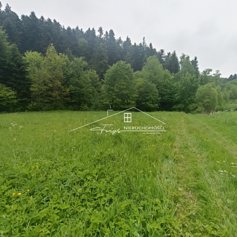 Postaw na działkę z potencjałem, zamiast szukać kompromisów.