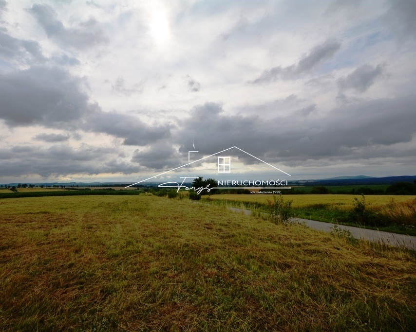 Cena 4000 zł za ar z możliwością negocjacji dla zdecydowanego kupującego.