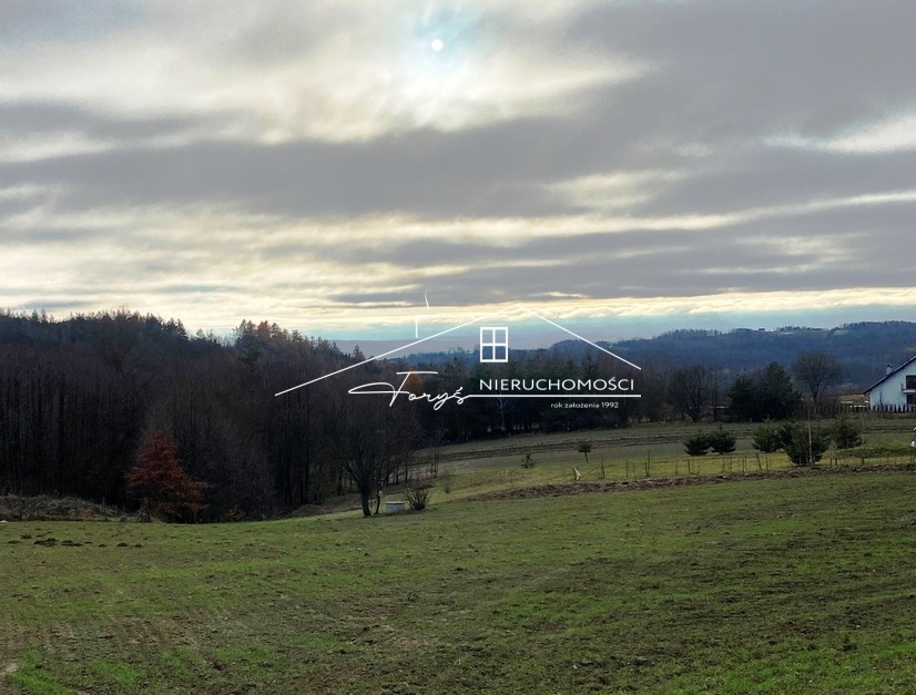 Działka leśna 1,63 ha w gminie Dubiecko – idealna inwestycja kapitału.