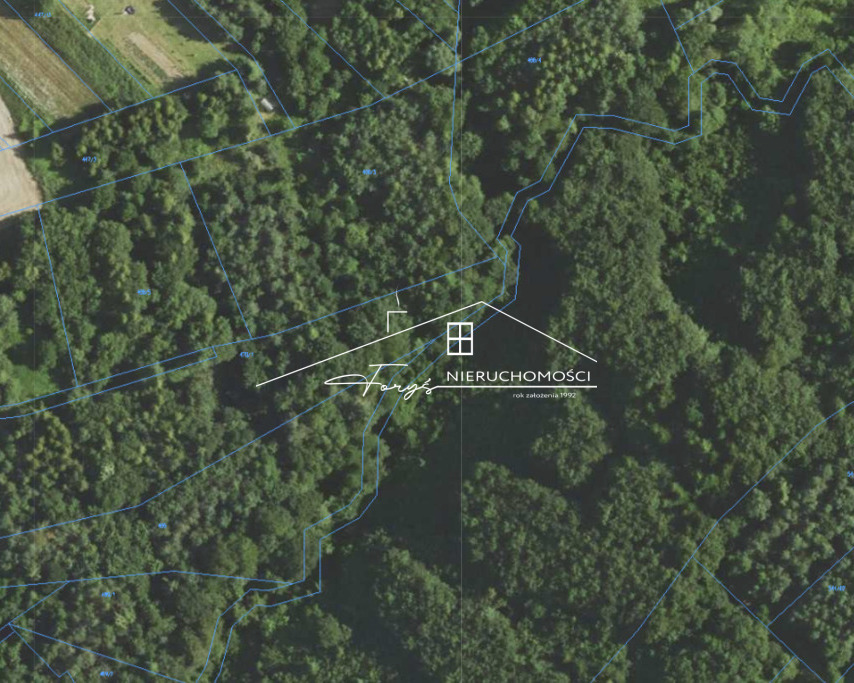 Unikalny kompleks czterech sąsiadujących działek leśnych na sprzedaż.