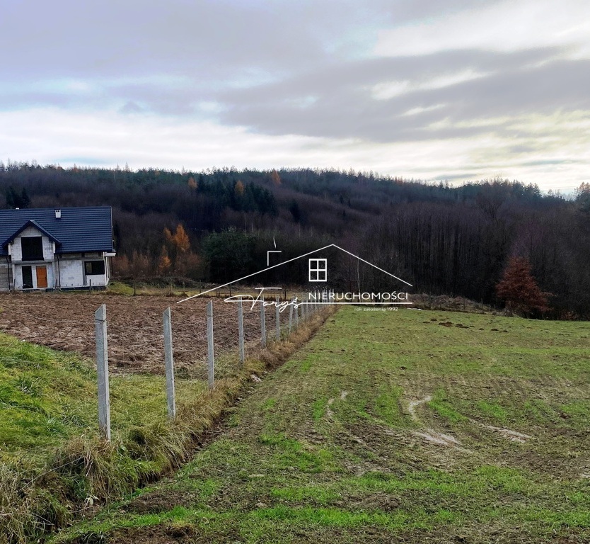 Wysoki potencjał – szacunkowo 100 m3 drewna opałowego w cenie.