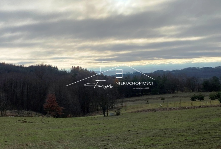 Doskonała oferta dla inwestorów, rolników i miłośników ciszy oraz natury.