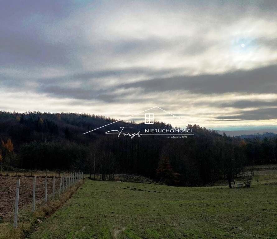 Skontaktuj się i umów prezentację lasu – nie przegap tej okazji zakupu.