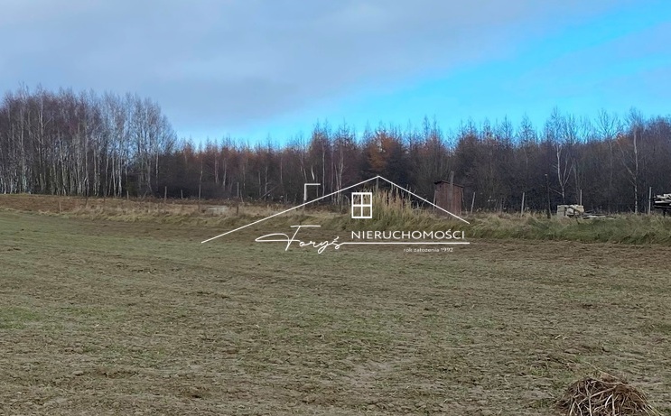 Skorzystaj z wyjątkowej okazji zakupu gruntu rolnego w Hucisku Nienadowskim.