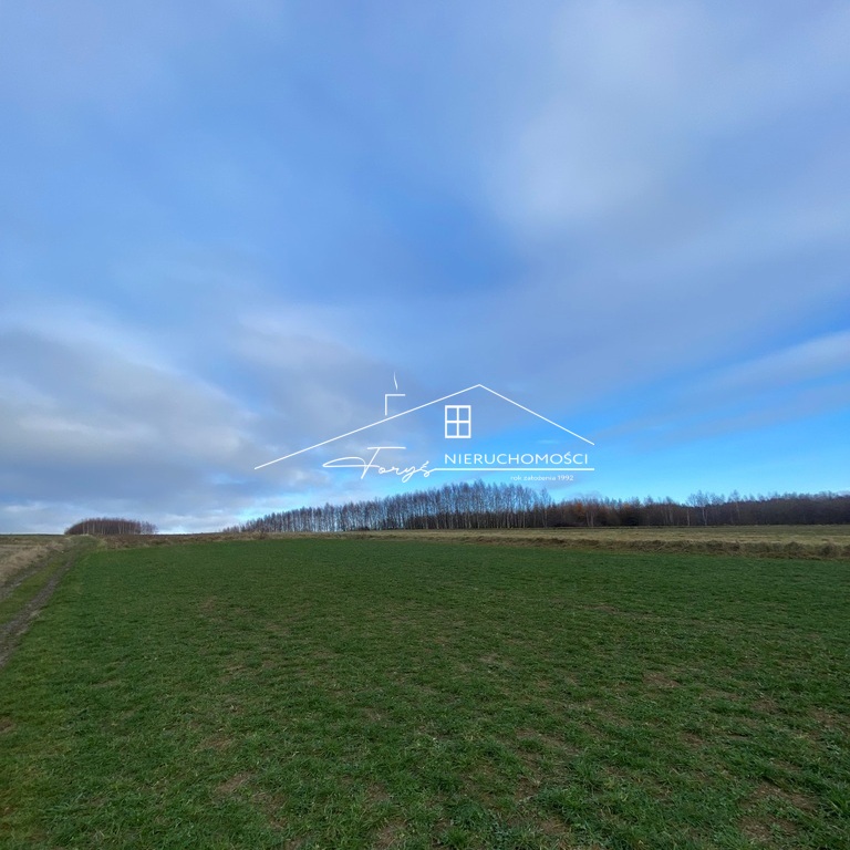 Możliwość wykorzystania pozyskanego drewna na opał lub materiał budowlany.