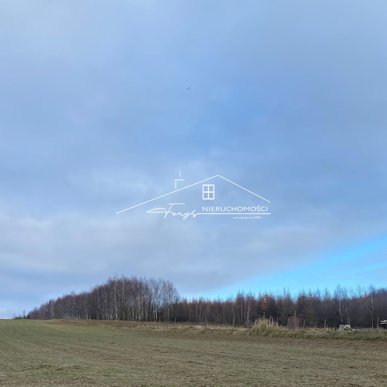 Grunt rolny w klasach RIIIb i RIVa – dobry wybór dla rolników i inwestorów.