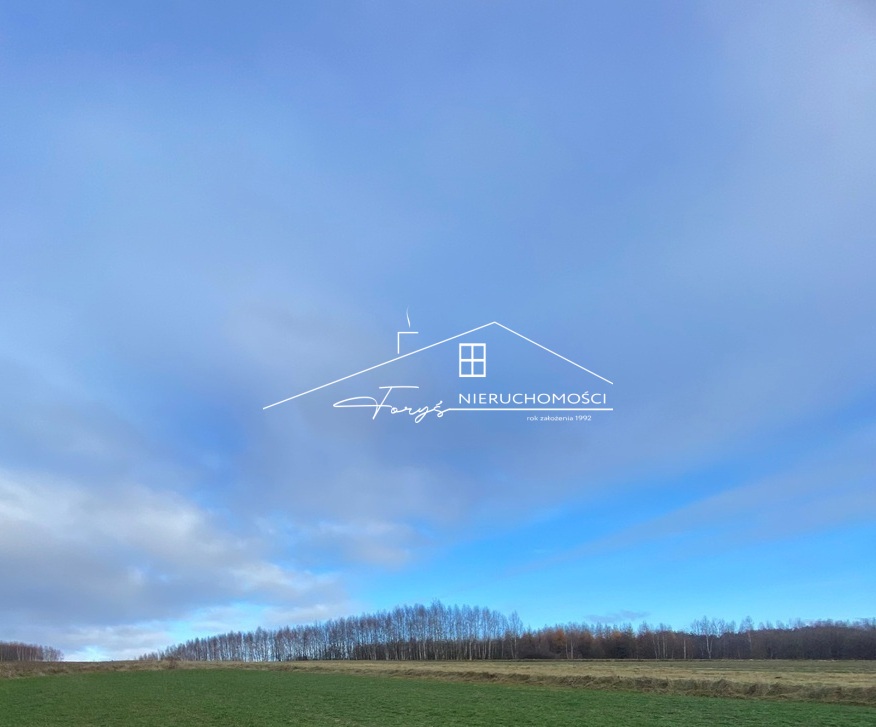 Postaw na sprzedaż nieruchomości, która łączy naturę, spokój i potencjał zysku.