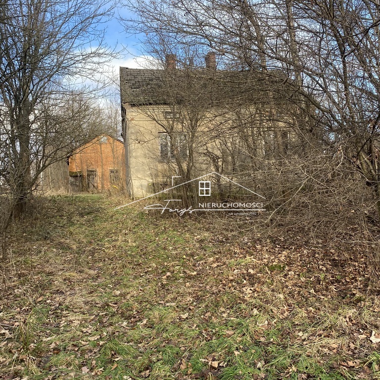 Idealne miejsce na budowę nowego domu w otoczeniu natury.