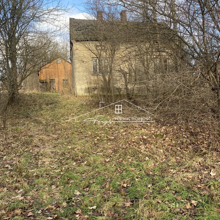 Media w zasięgu: studnia na działce, prąd i gaz przy drodze.