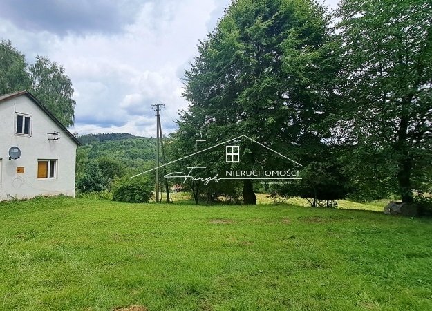 Atrakcyjna sprzedaż nieruchomości gruntowych 2,96 ha w Nienadowej.