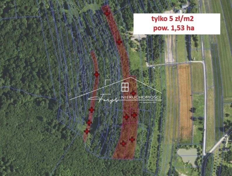 Odkryj potencjał 1,53 ha gruntu rolnego w malowniczych Ujkowicach.