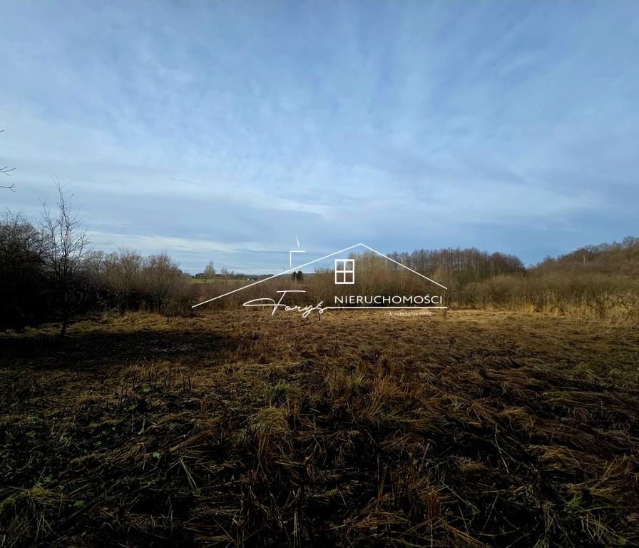 Zakrzewiony i zadrzewiony teren tworzy klimat prywatnej, zielonej enklawy.