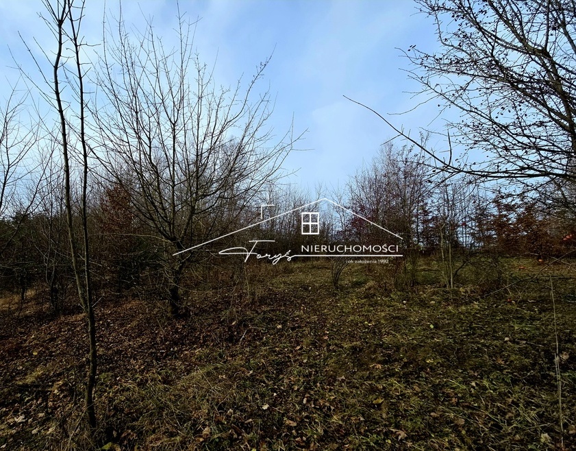 Jedenaście działek w dwóch lokalizacjach – elastyczne opcje zagospodarowania.