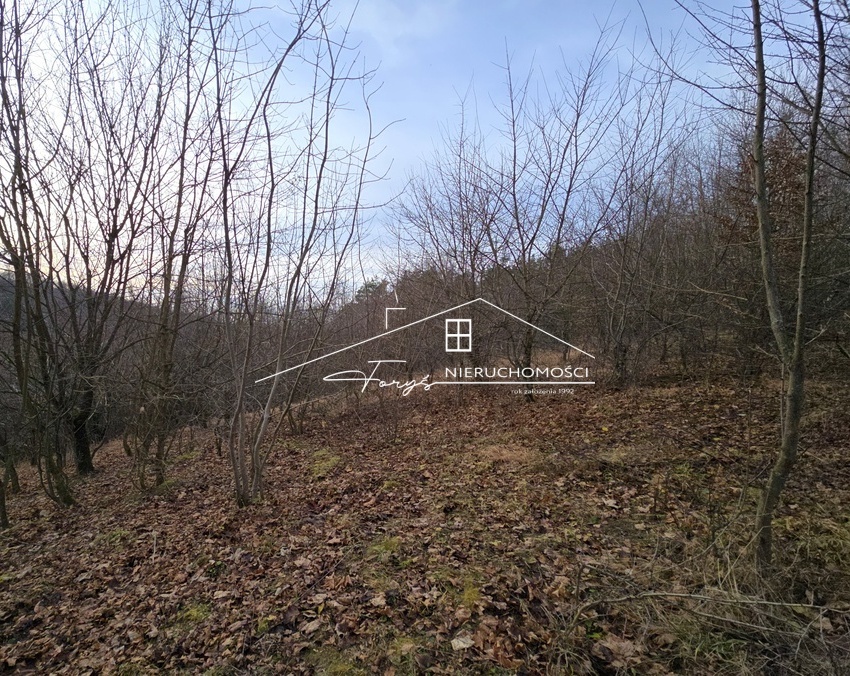 Możliwość dokupu działek sąsiednich i stworzenia dużego, spójnego areału.