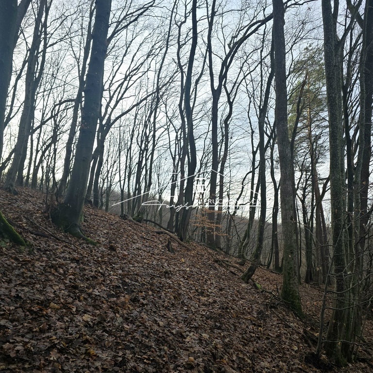 Idealna propozycja dla inwestora szukającego gruntu z przyszłością.