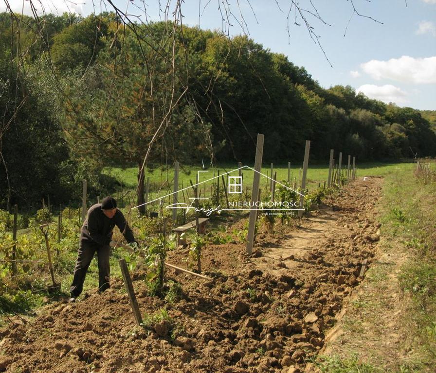 Winnica Węgrzyn na sprzedaż  1,17 ha tradycji, wody mineralne i wino z Podkarpacia