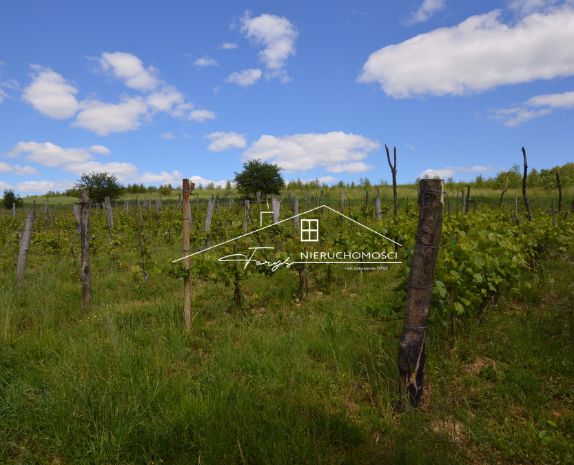 Wykorzystaj trzy źródła wody mineralnej jako wyjątkowy atut oferty.