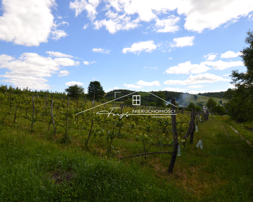 Przejmij markę z ugruntowaną pozycją na lokalnym rynku wina.