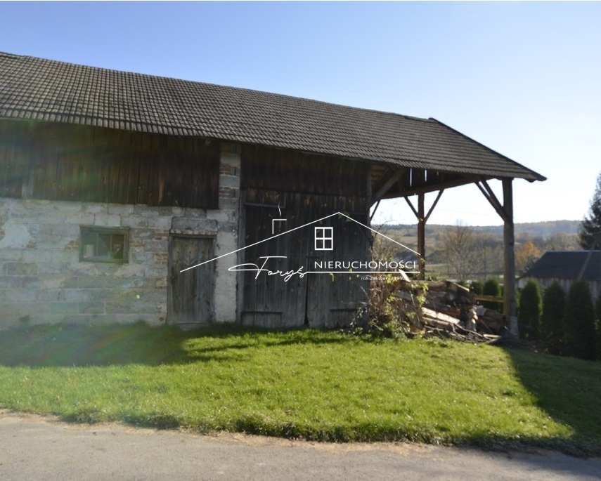 Odkryj potencjał 19 odmian winorośli idealnych na lokalne warunki.