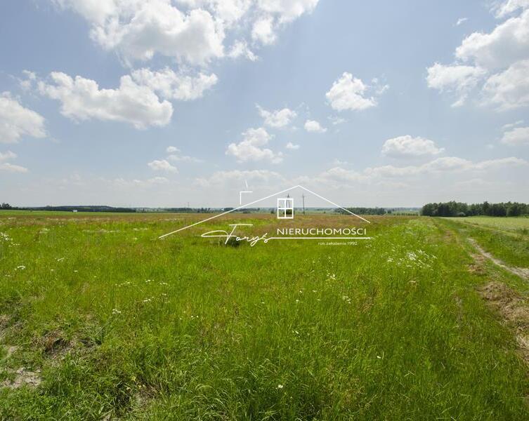 Działki 5,29 ha ze złożami piasku 335762 t i koncesją  Moszczanica, Podkarpacie
