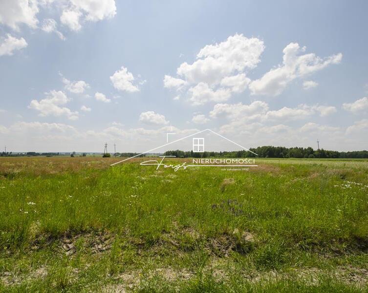 Działki 5,29 ha ze złożami piasku 335762 t i koncesją  Moszczanica, Podkarpacie