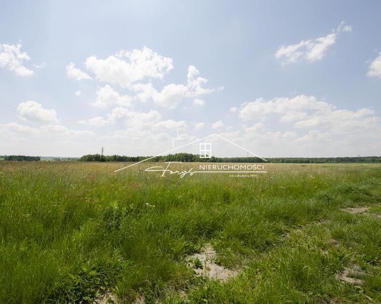 Działki 5,29 ha ze złożami piasku 335762 t i koncesją  Moszczanica, Podkarpacie