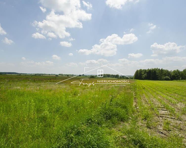 Działki 5,29 ha ze złożami piasku 335762 t i koncesją  Moszczanica, Podkarpacie